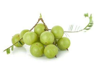 Indian gooseberry isolated on white background
